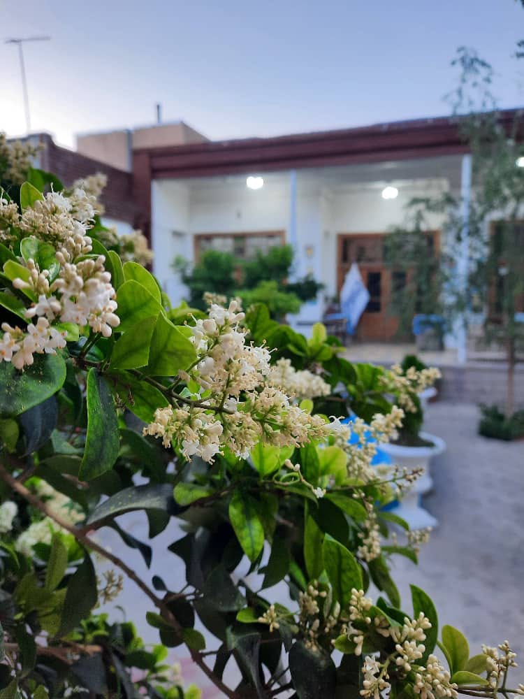 فضای موسسه